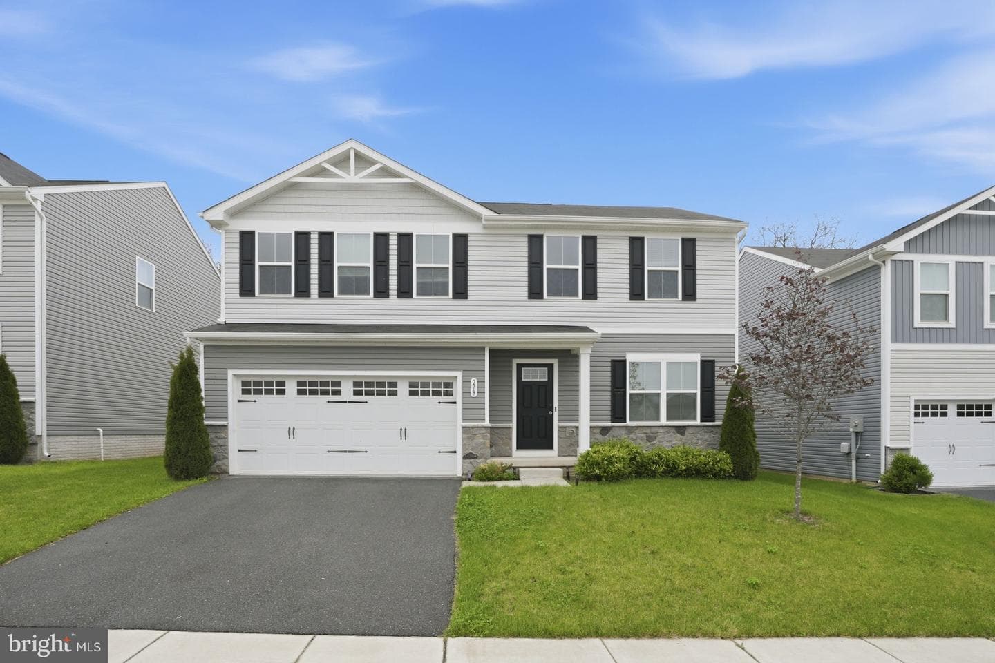 213 Pickett Street photo 3