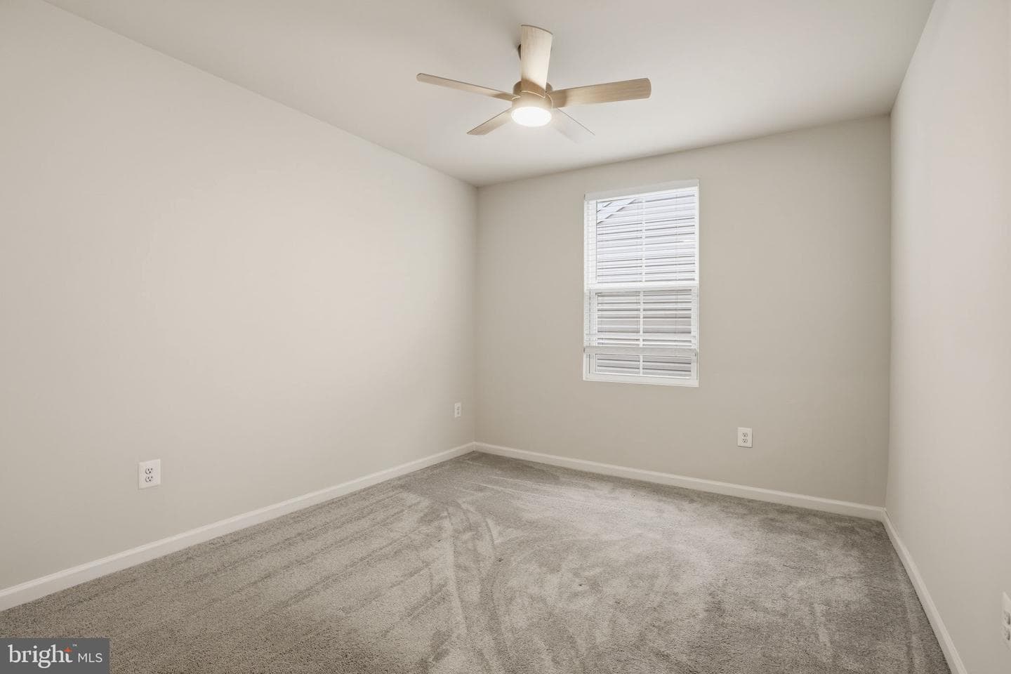 213 Pickett Street photo 31