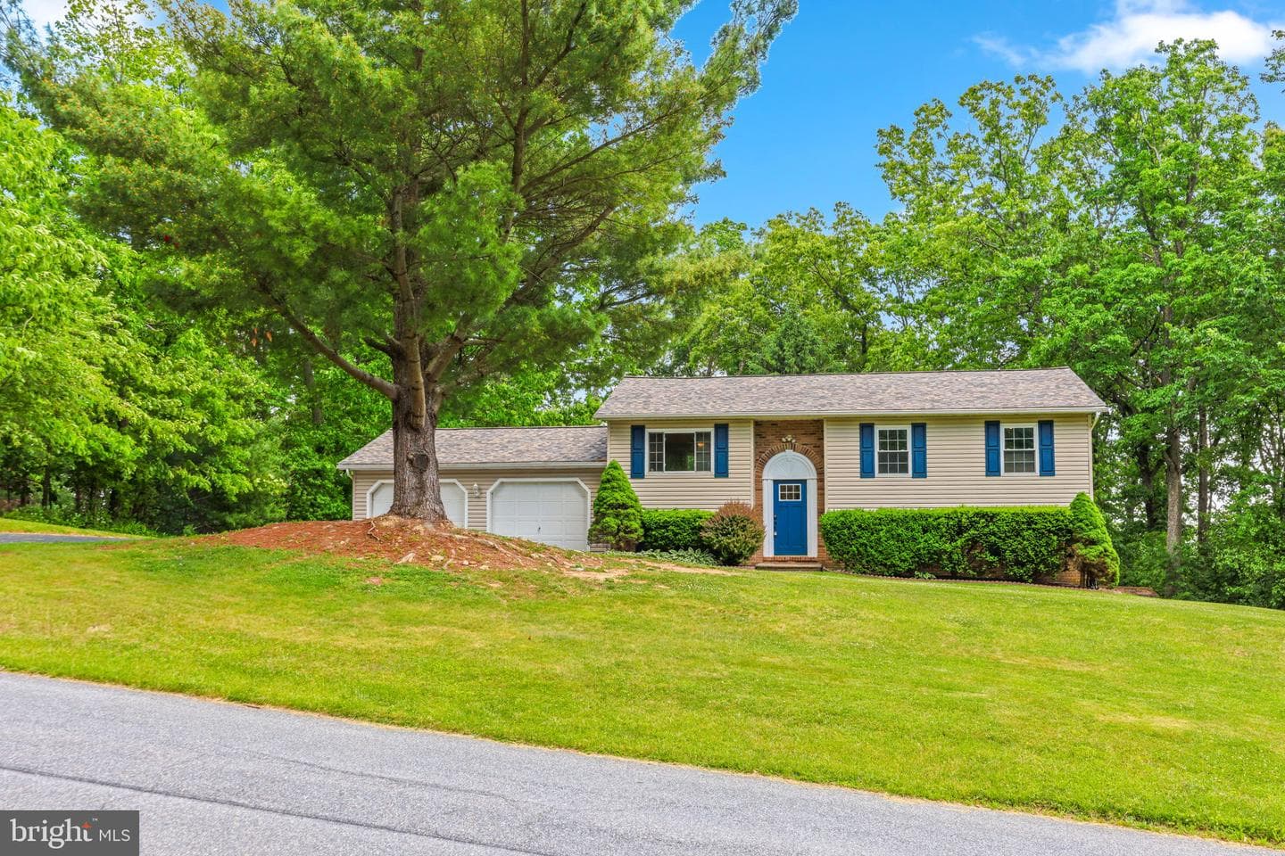 2105 Walsh Drive photo 3