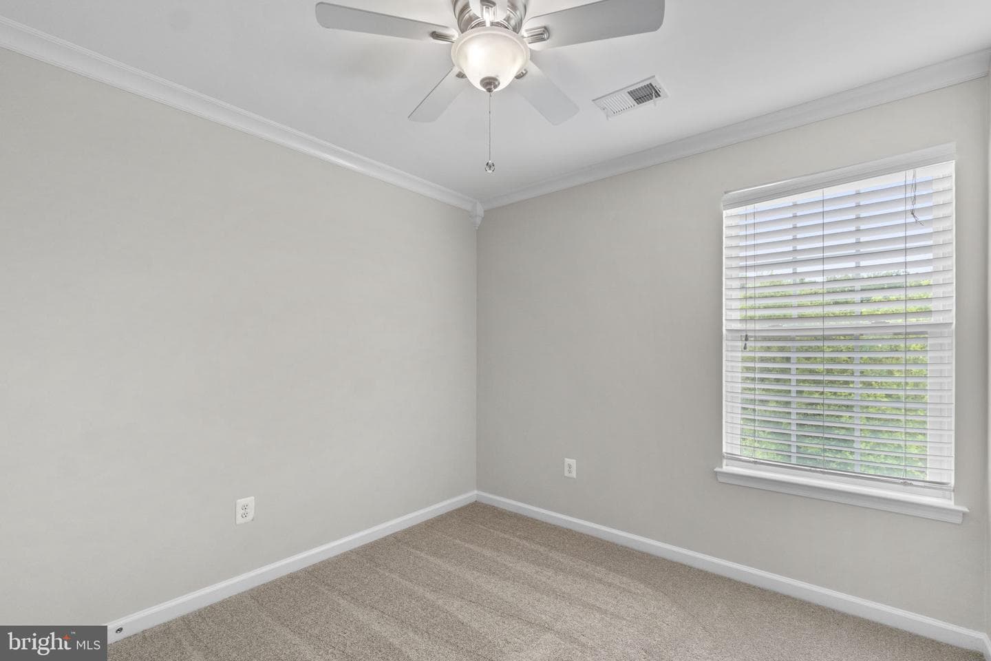7563 Willow Bottom Road photo 30
