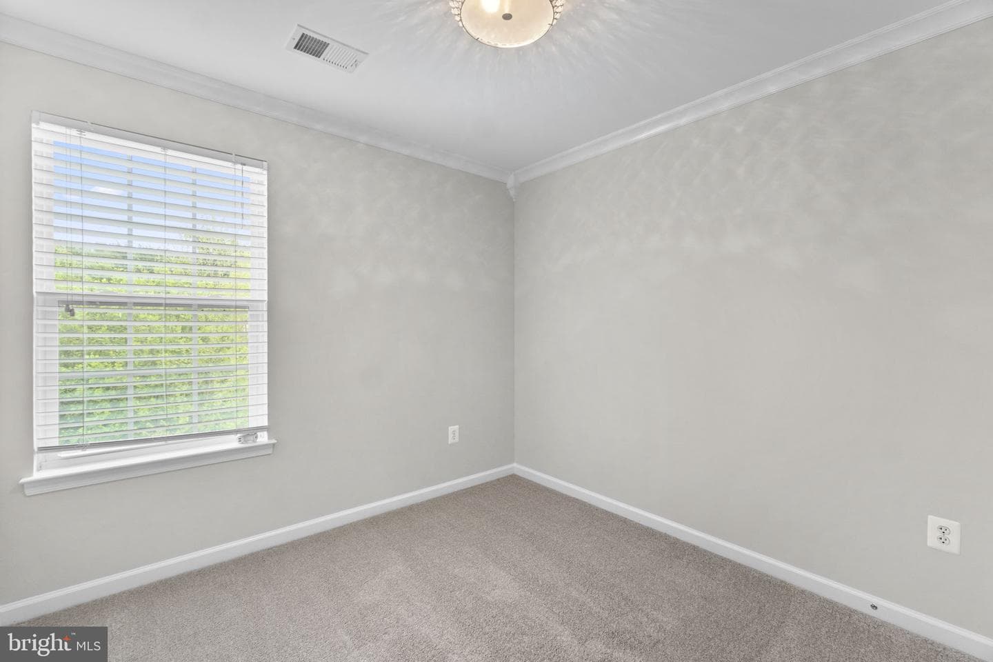 7563 Willow Bottom Road photo 32