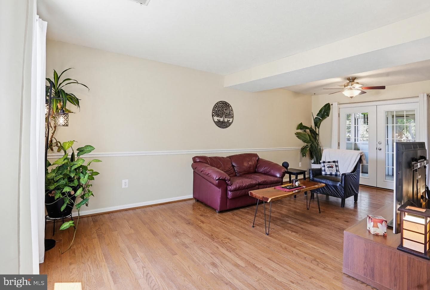 1587 Brimfield Circle photo 4