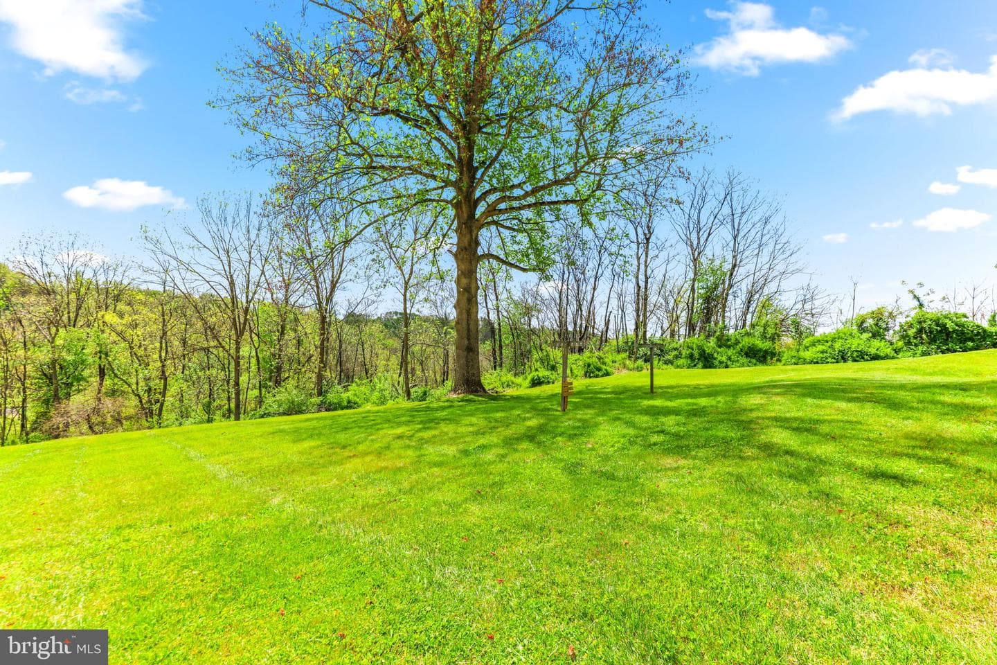 4601 Baughman Mill photo 50