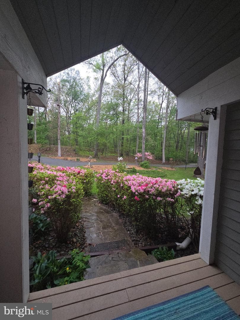 151 Martz Road photo 62