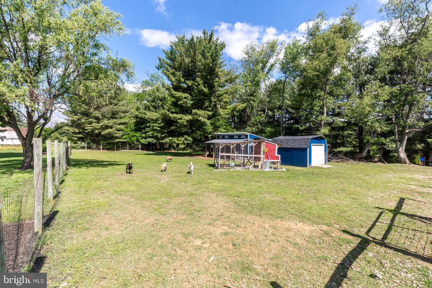 1684 Calico Drive photo 58