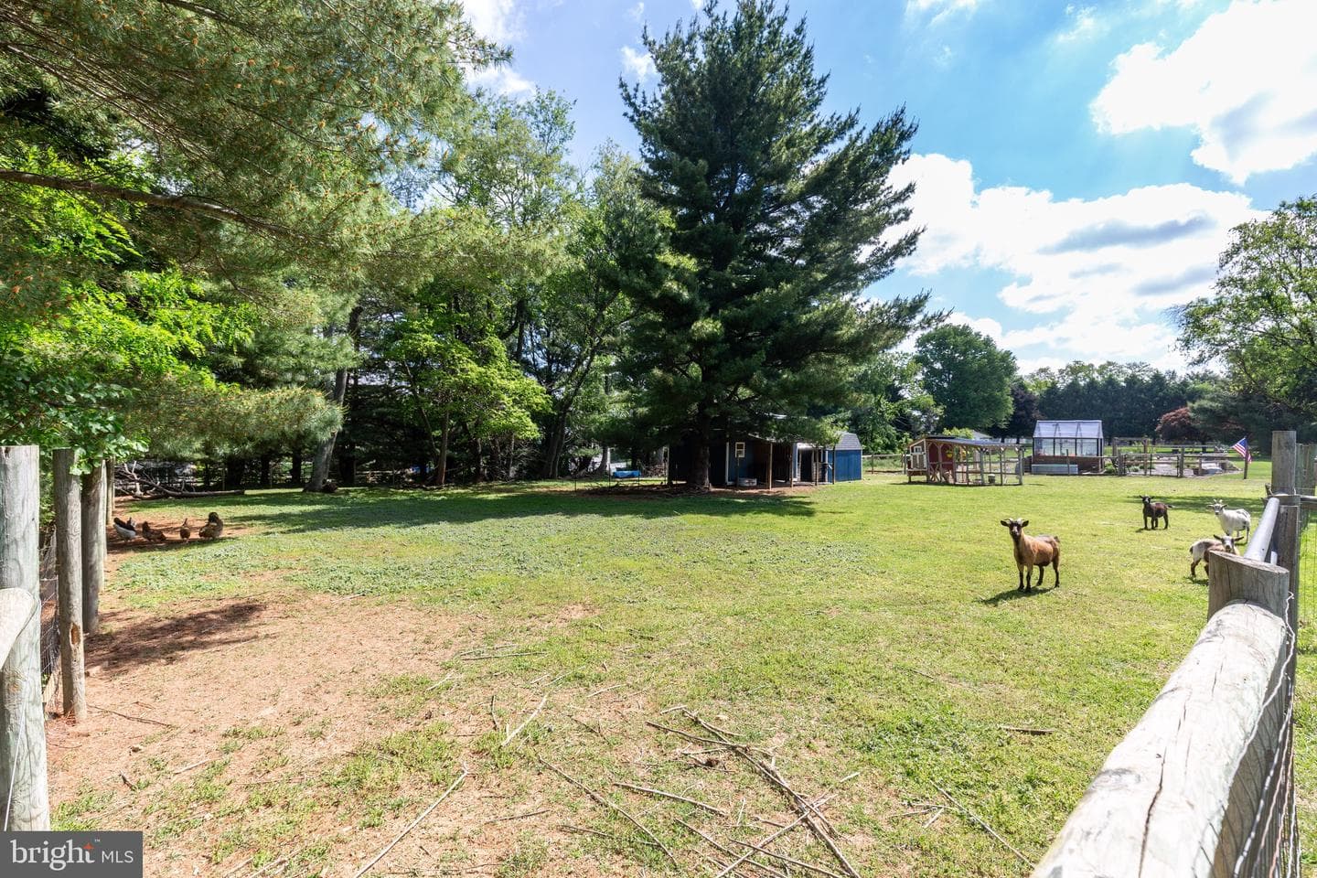 1684 Calico Drive photo 75