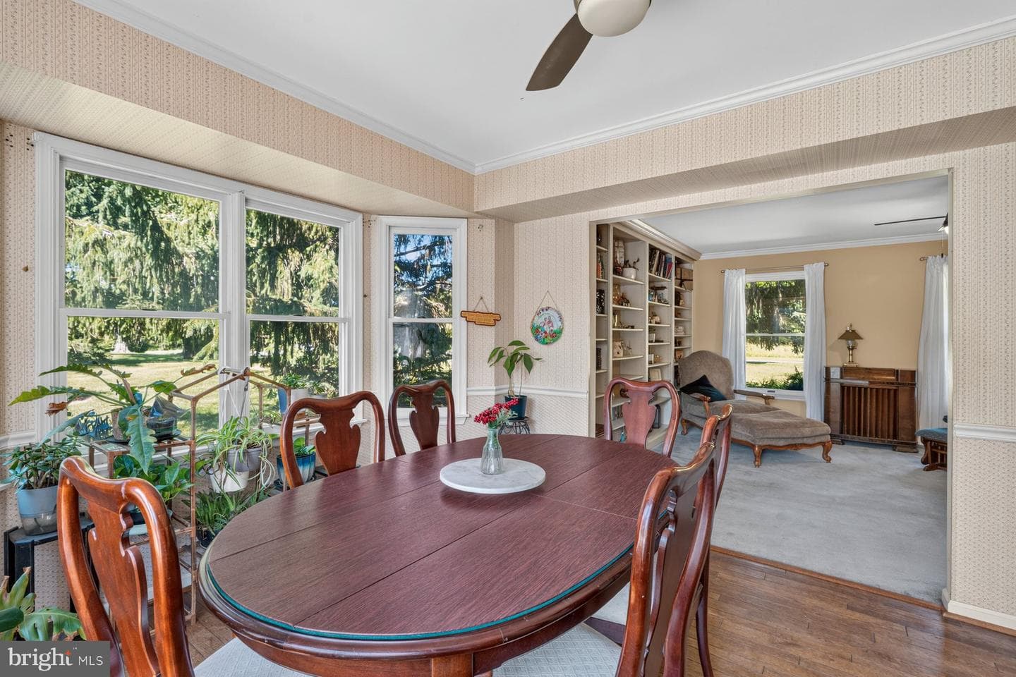 49 Rockland Road photo 34