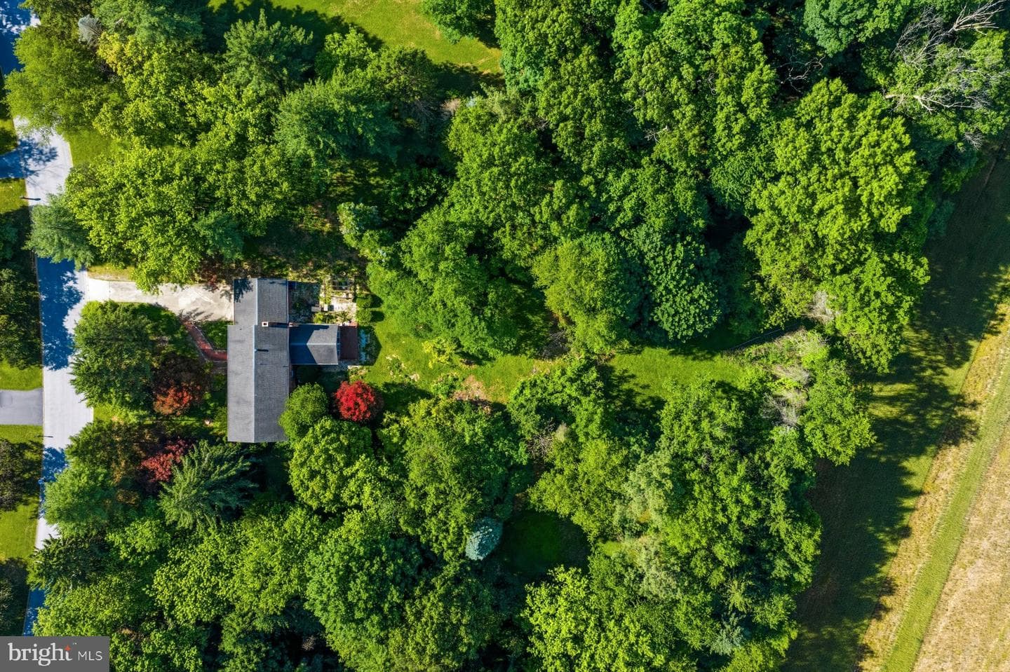 2318 Beren Lane photo 4