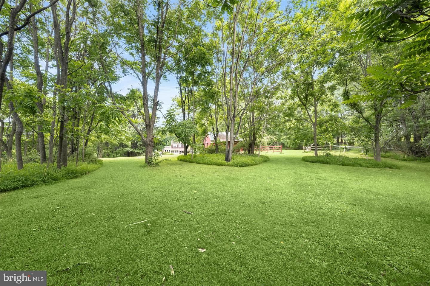 2319 Braddock Road photo 75
