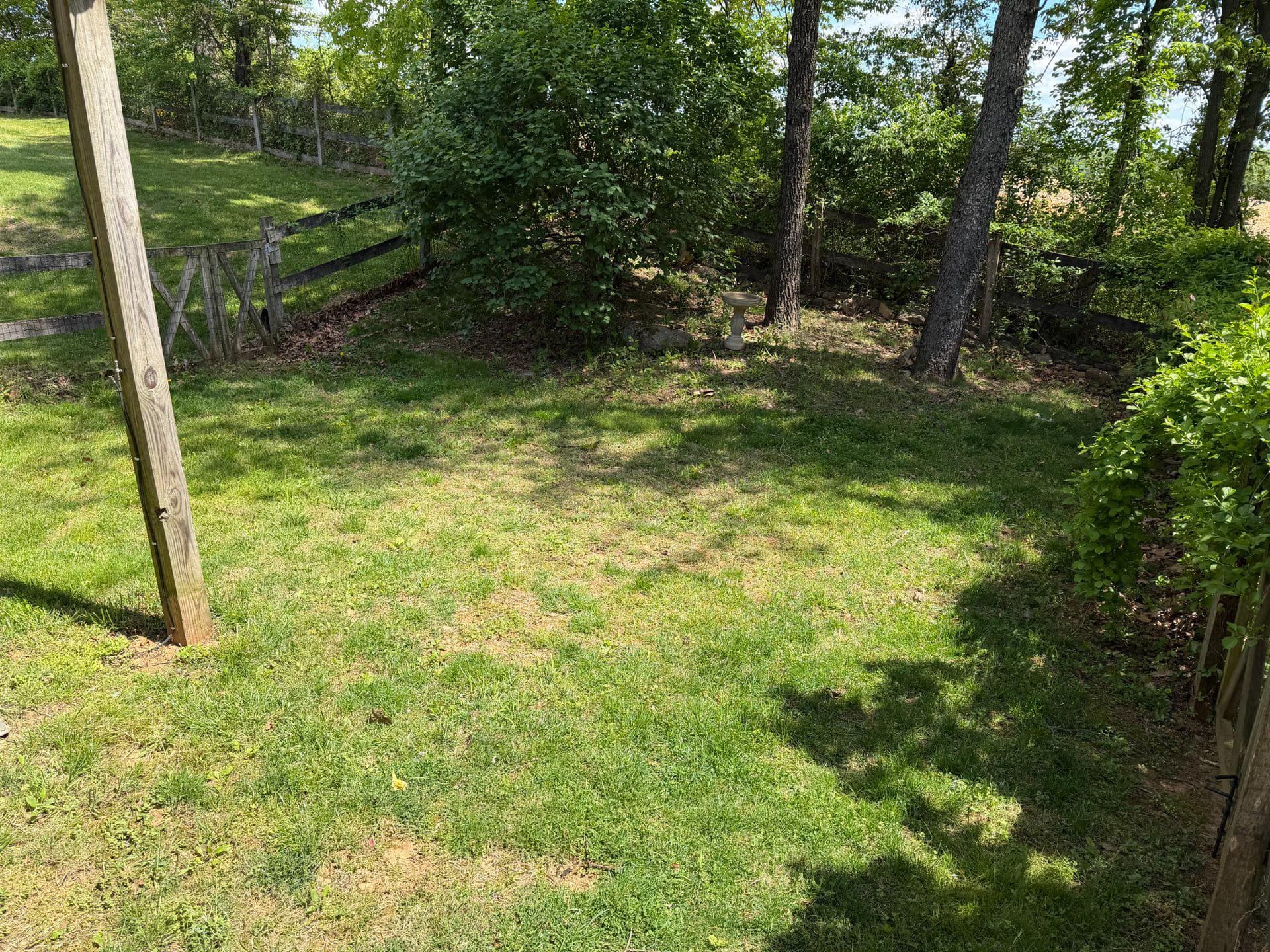 4001 Young Road photo 58