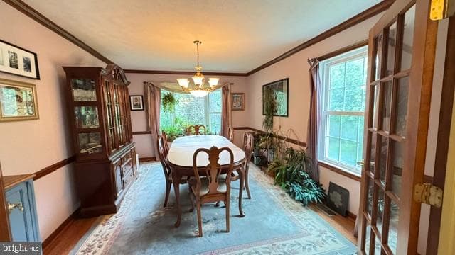 1740 Fairmount Road photo 19