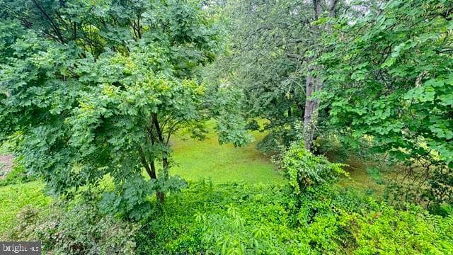 1740 Fairmount Road photo 84