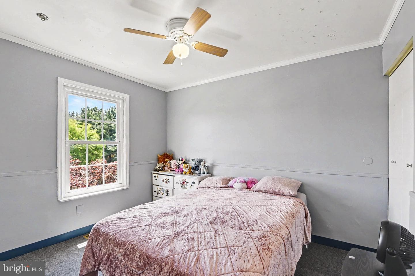 202 Gallatin Court photo 19