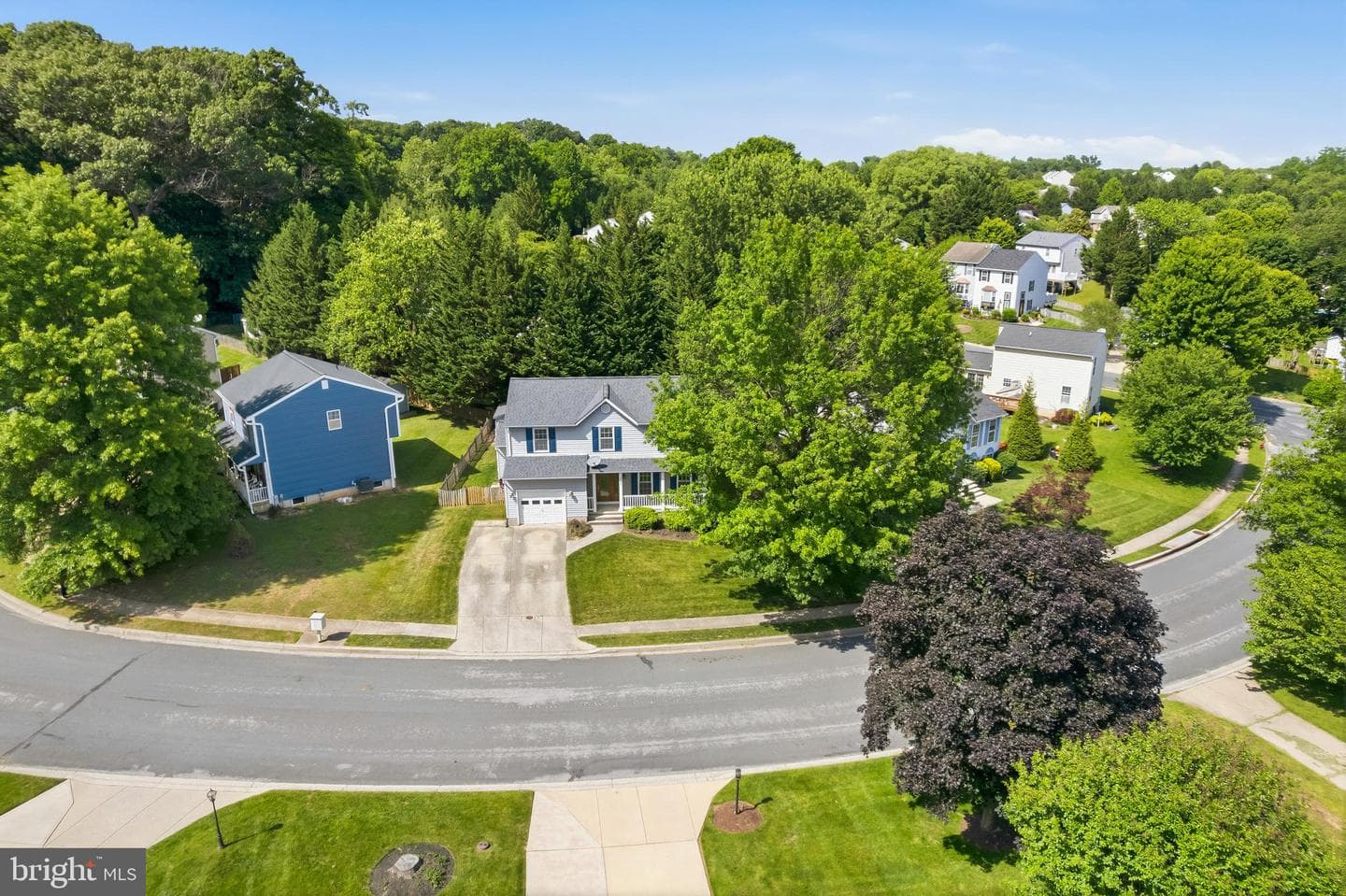 6560 Abraham Court photo 4