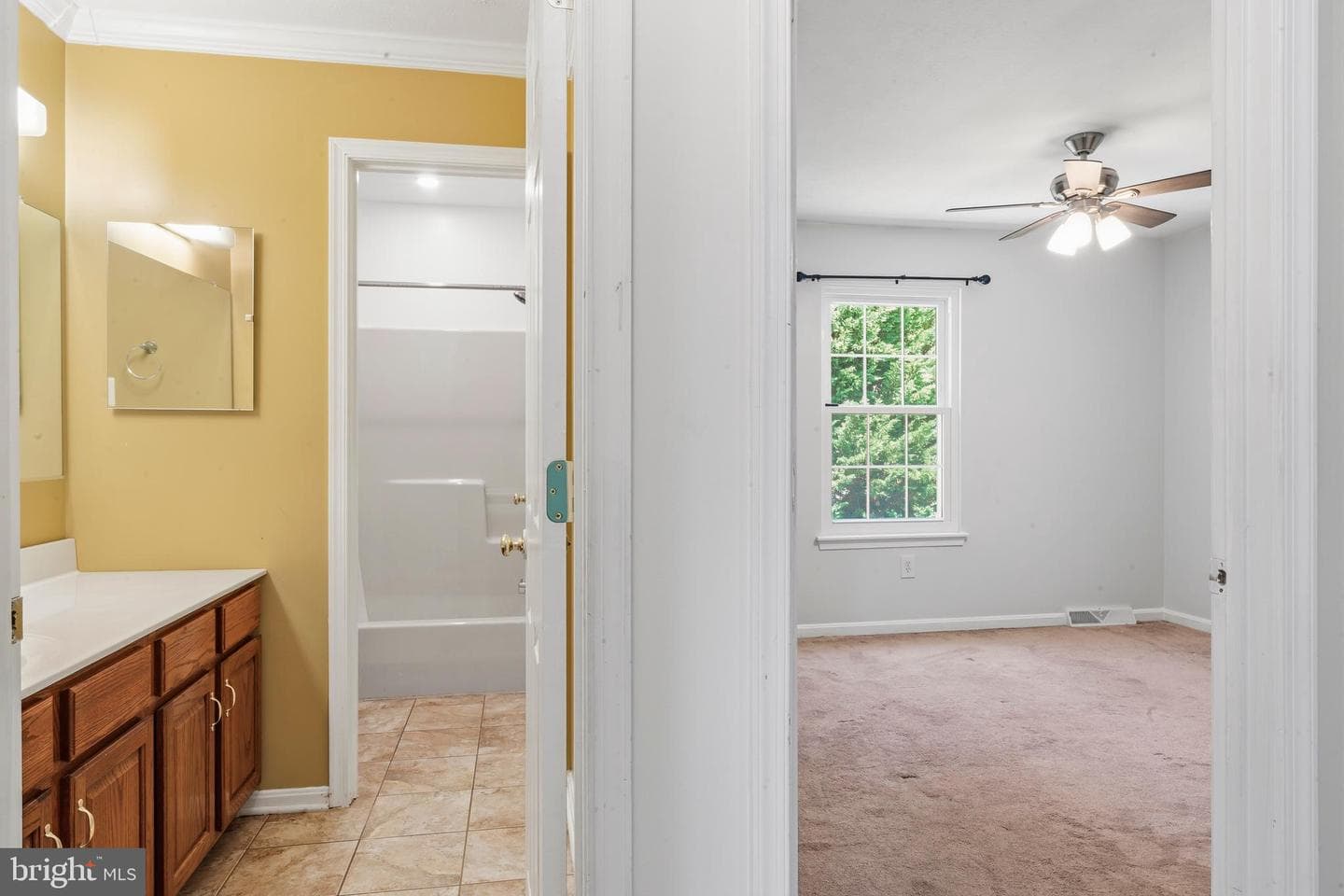 6560 Abraham Court photo 41