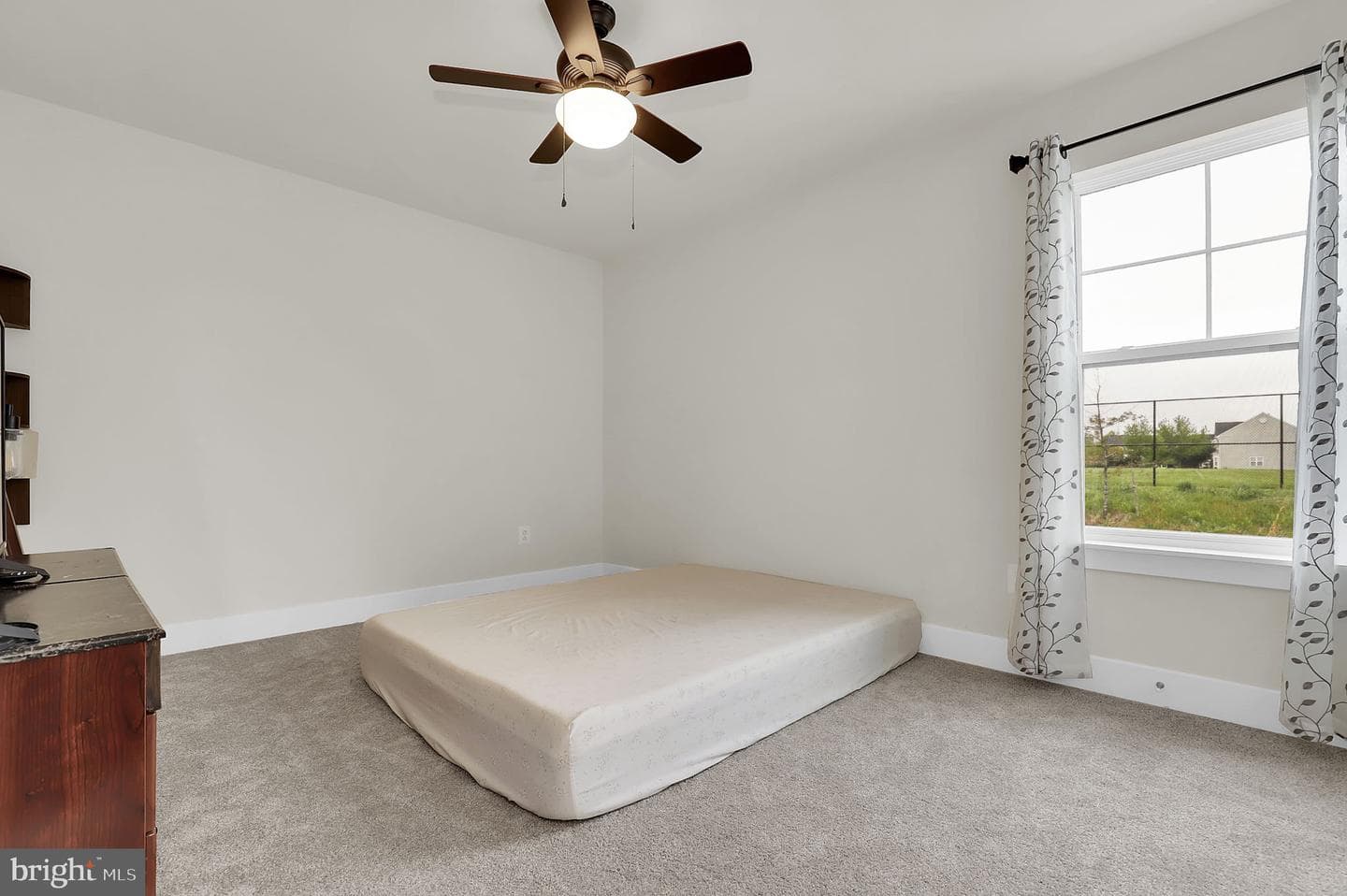 6 Jimmys Street photo 35