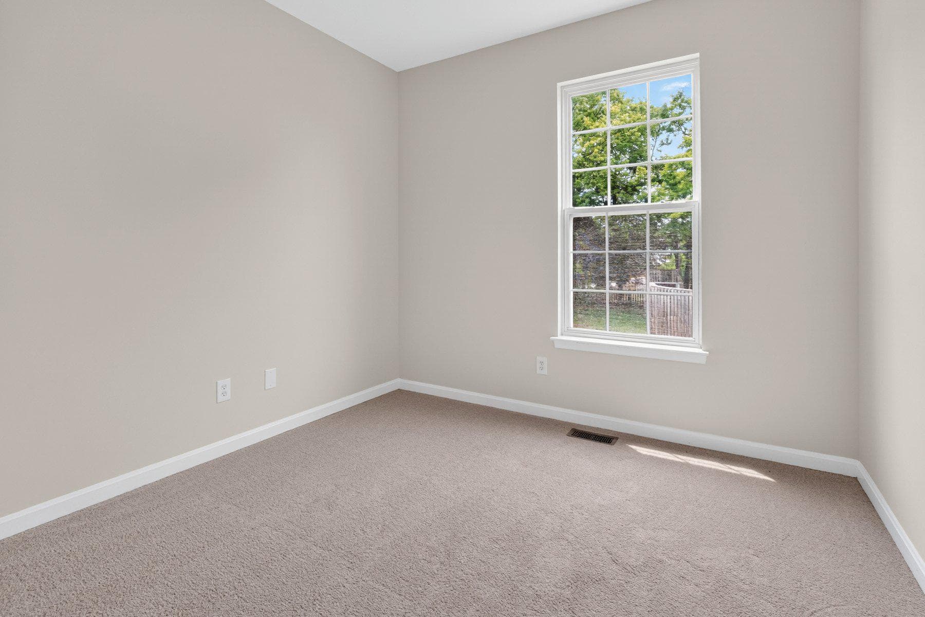242 Colbert Street photo 17