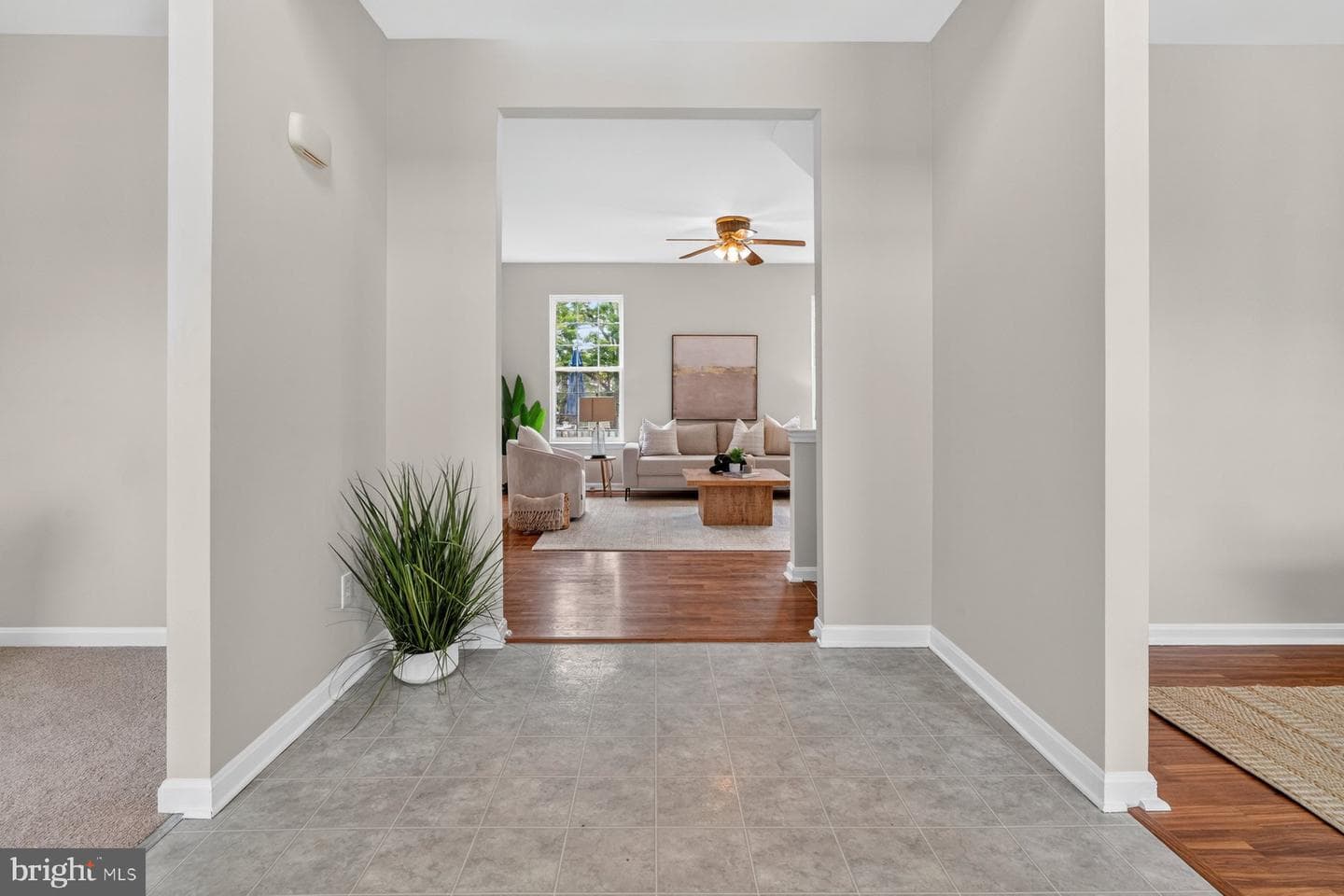 242 Colbert Street photo 5