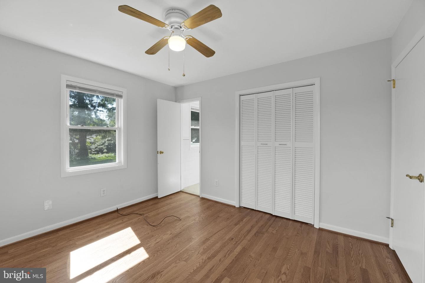 810 Wisteria Drive photo 12