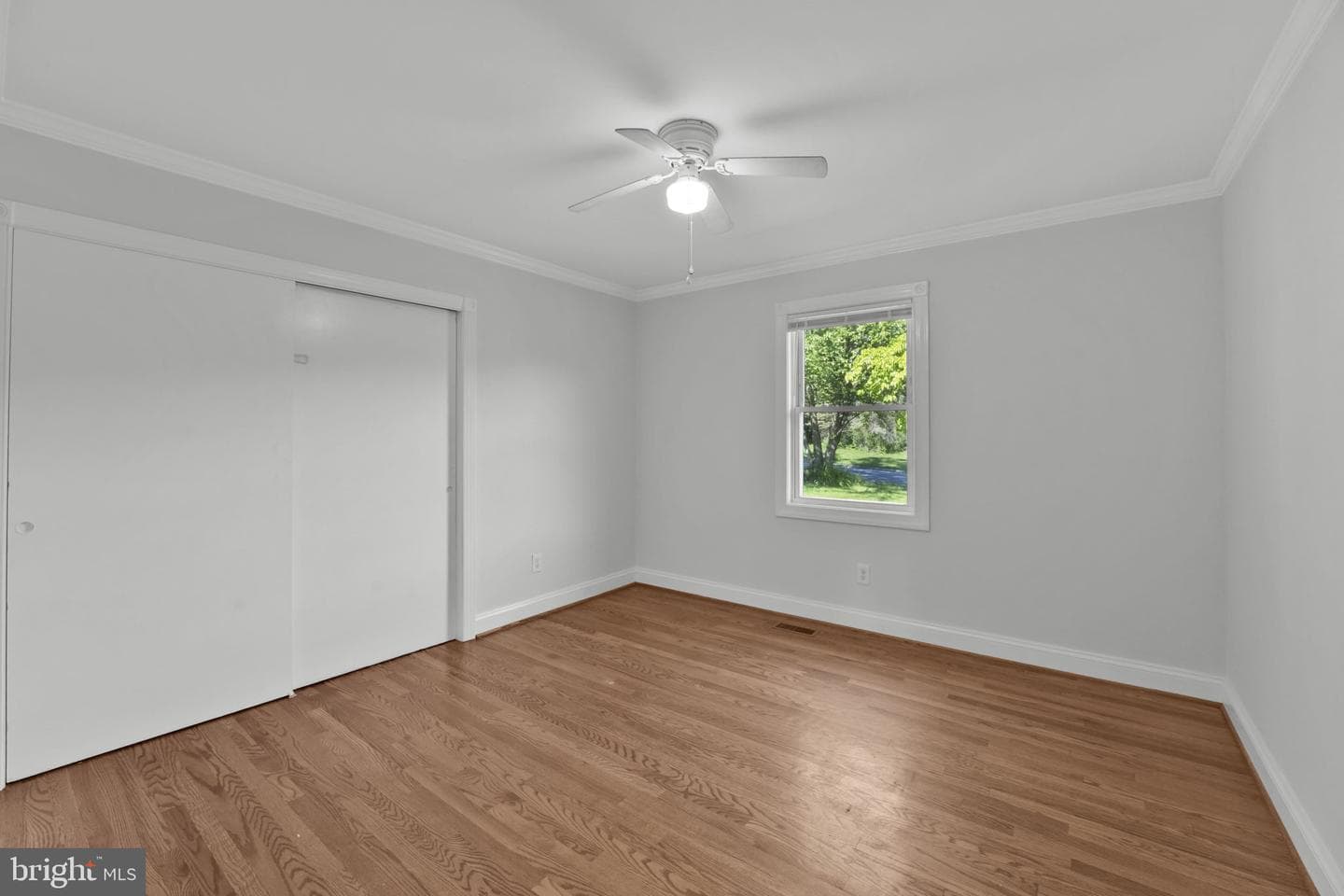 810 Wisteria Drive photo 15