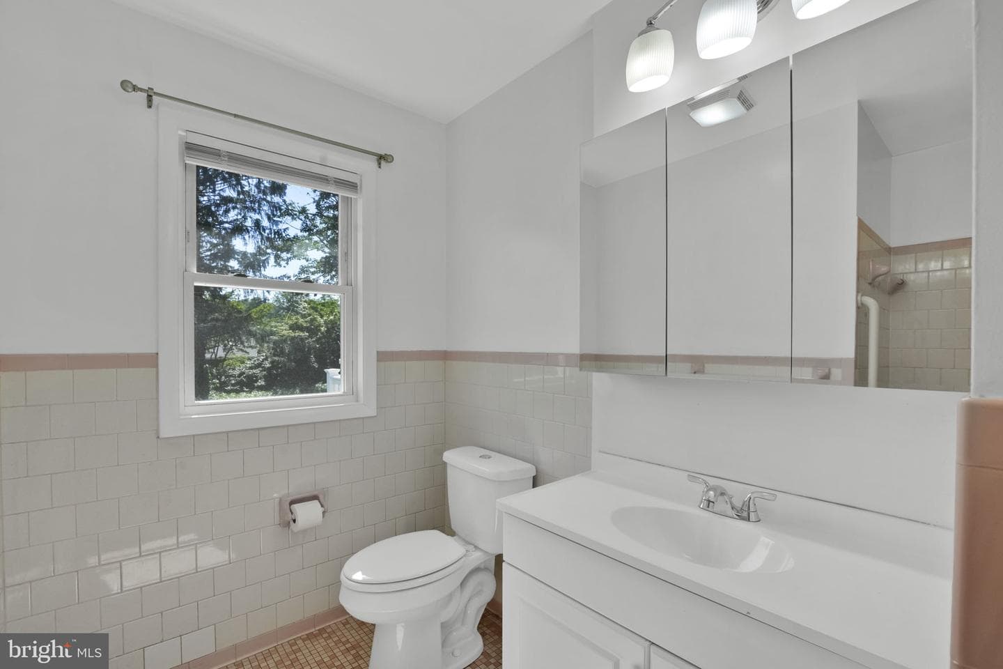810 Wisteria Drive photo 20