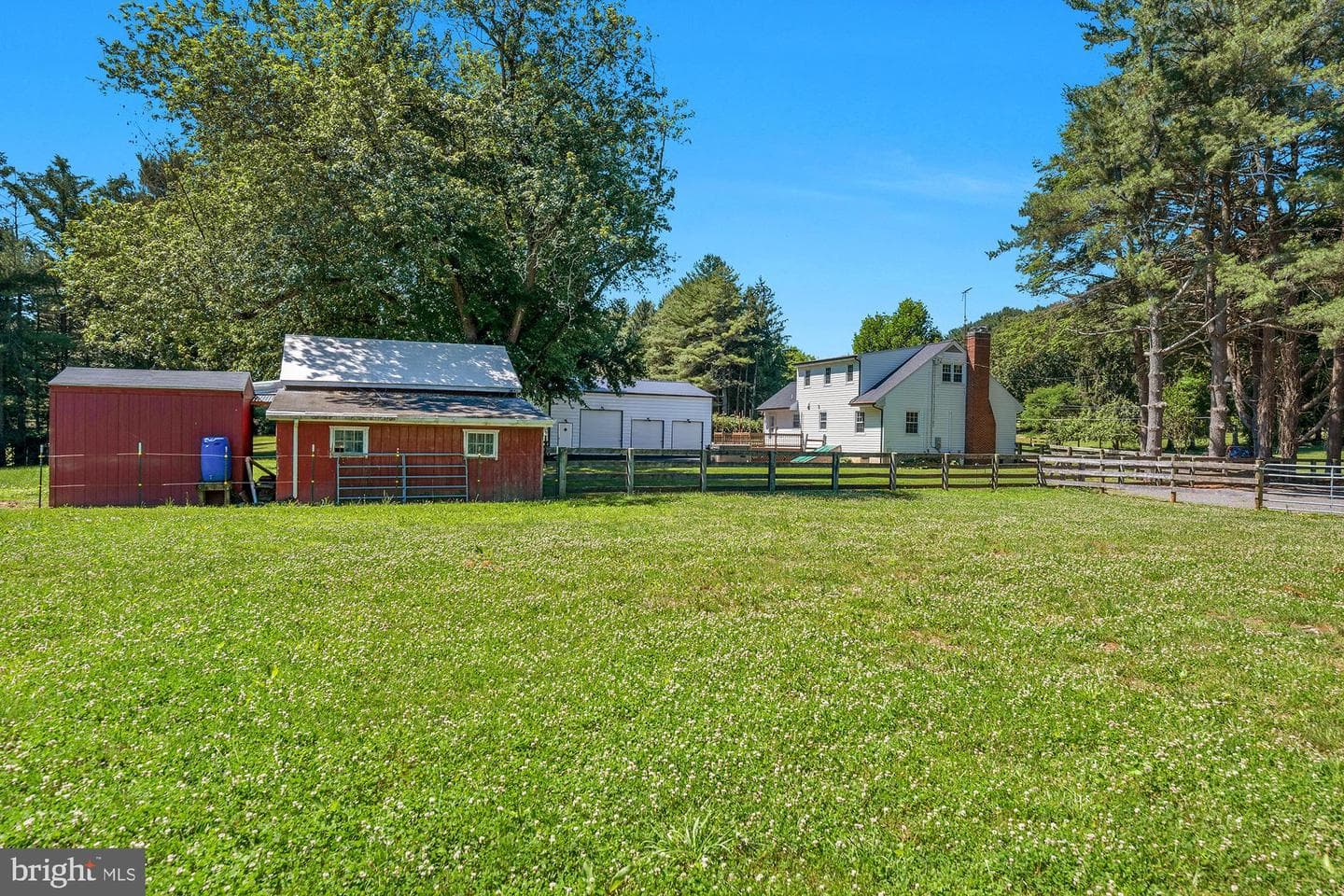 932 Bear Branch Road photo 41