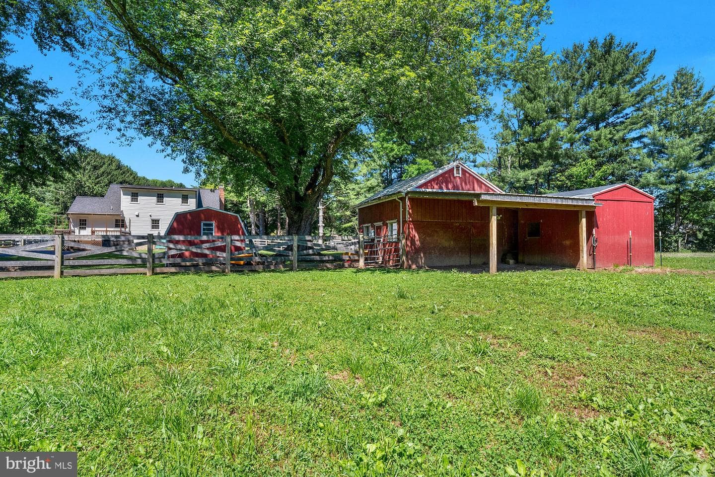 932 Bear Branch Road photo 46