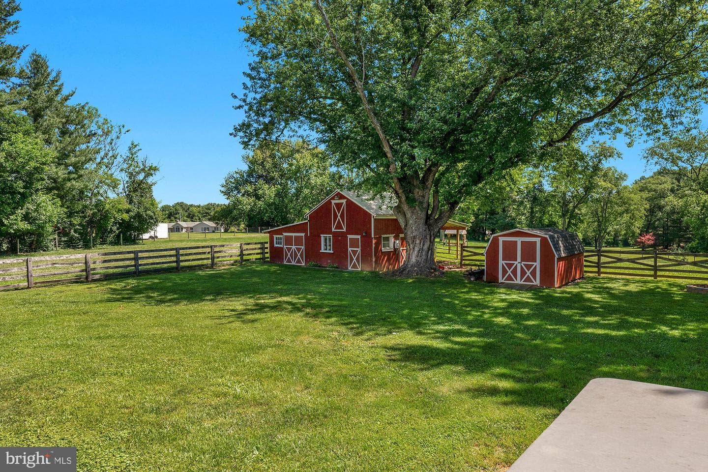 932 Bear Branch Road photo 5