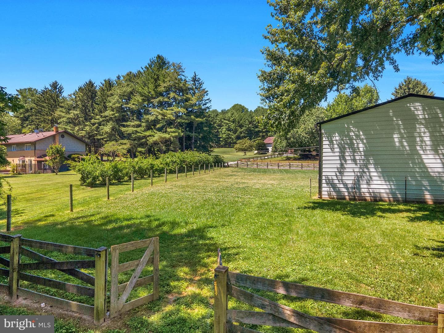 932 Bear Branch Road photo 51