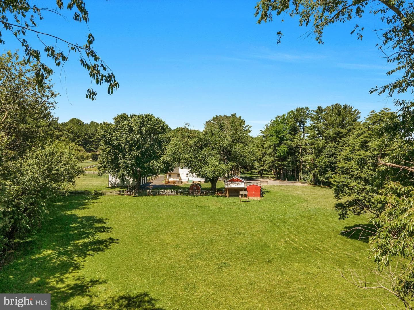 932 Bear Branch Road photo 52