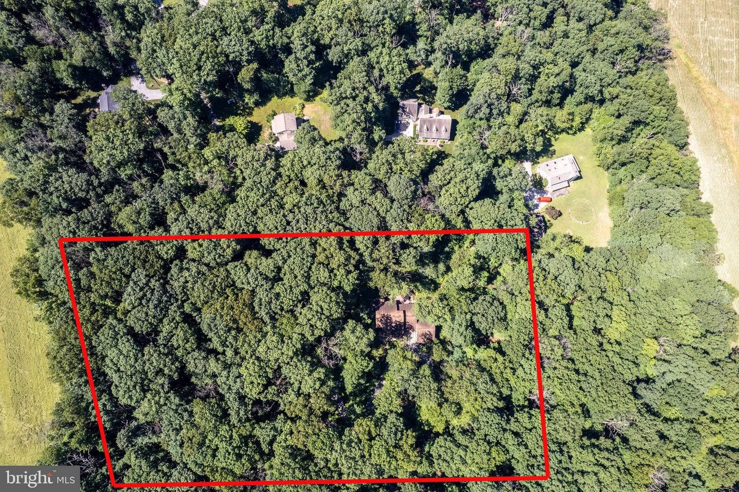 1919 Gravel Drive photo 13