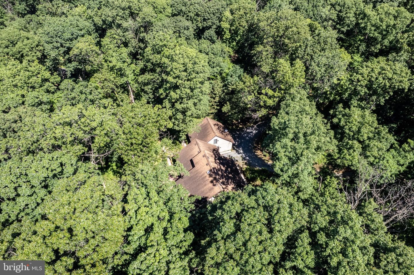 1919 Gravel Drive photo 15