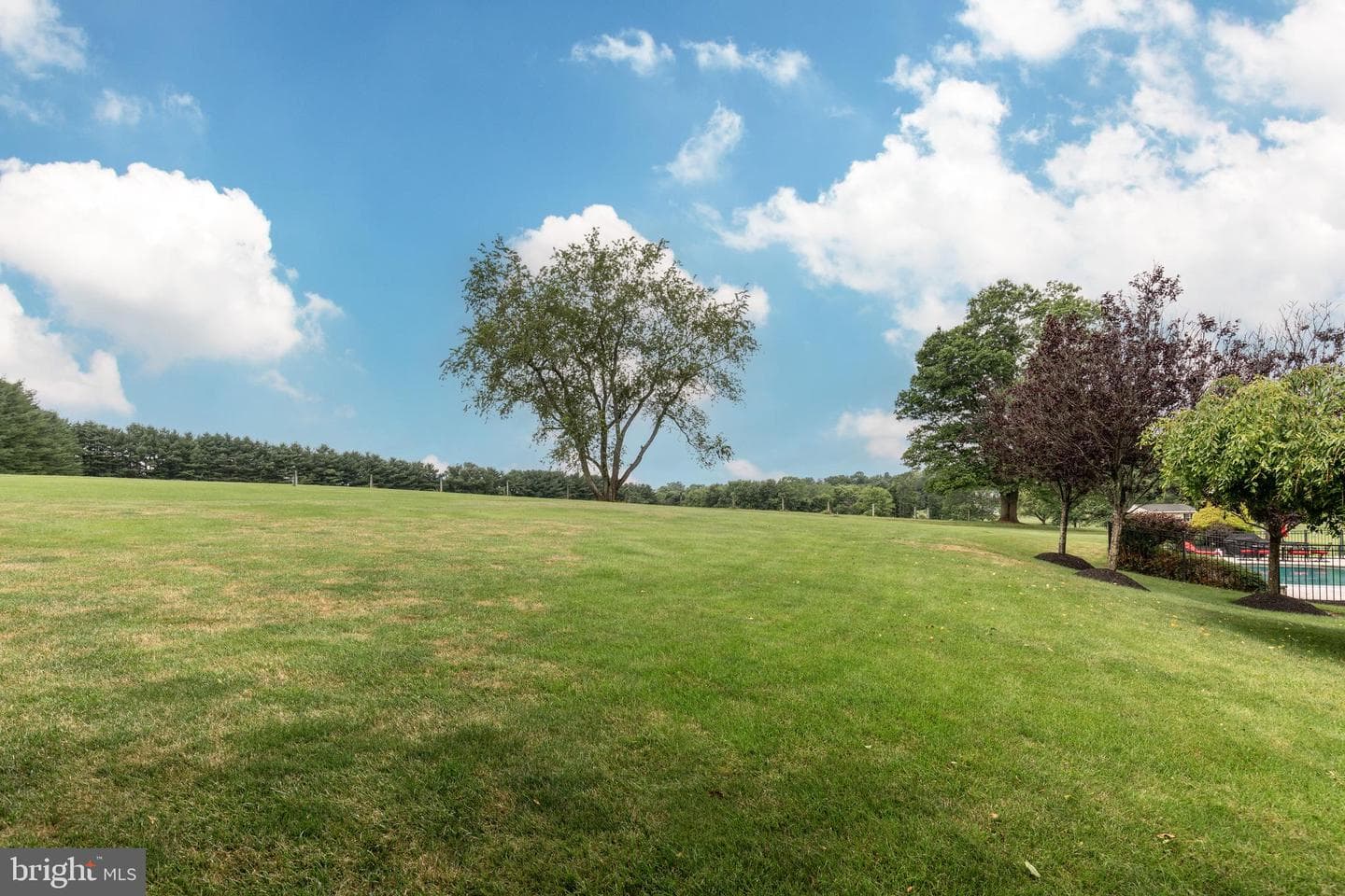 6050 Moore Drive photo 87
