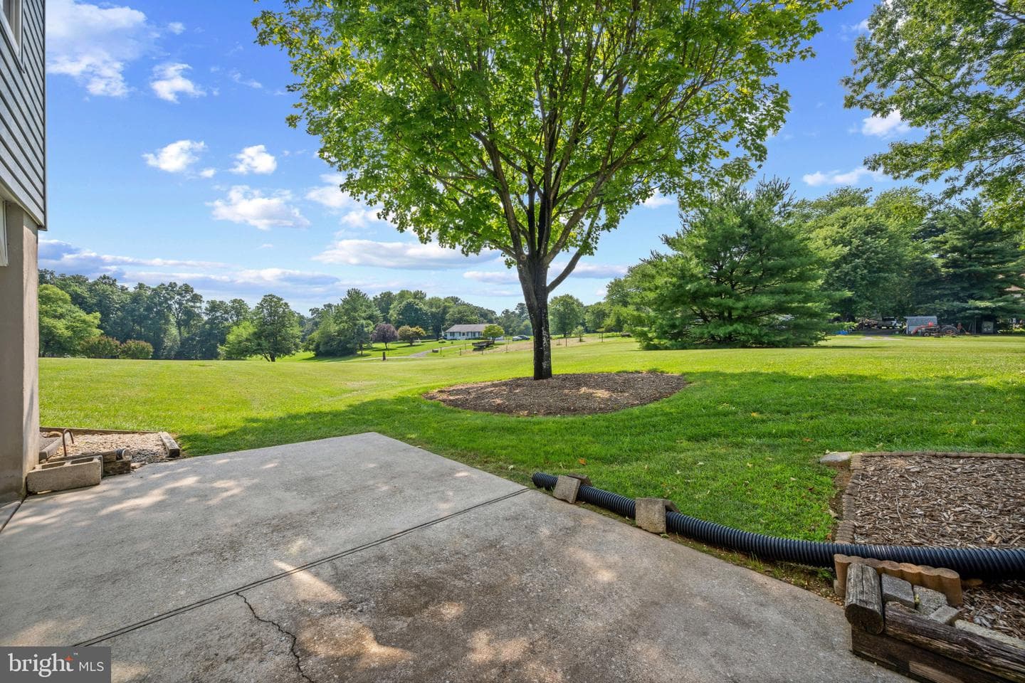 1119 Fannie Dorsey Road photo 40