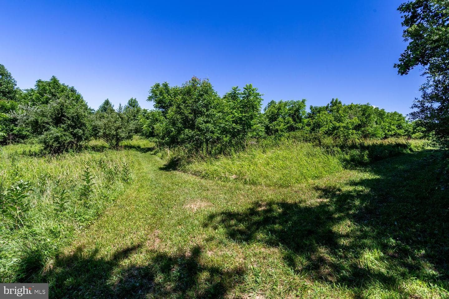 4180 John Benjamin Drive photo 117