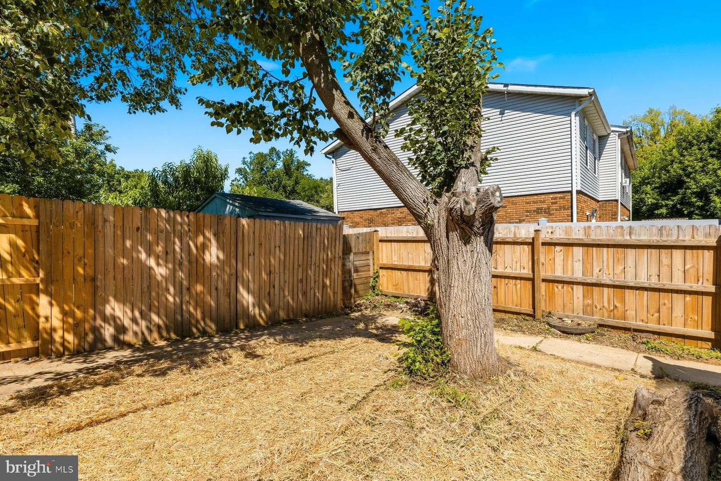 176 S Court Street photo 41