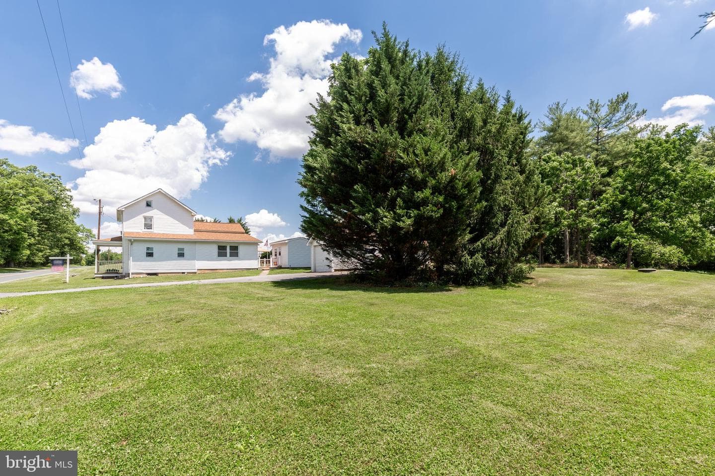 3831 Walnut Grove Road photo 4