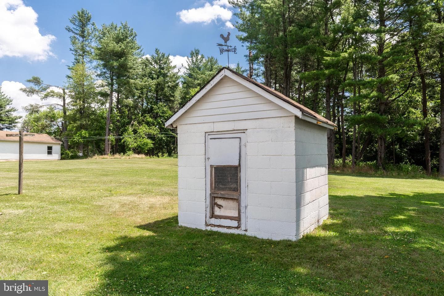 3831 Walnut Grove Road photo 44