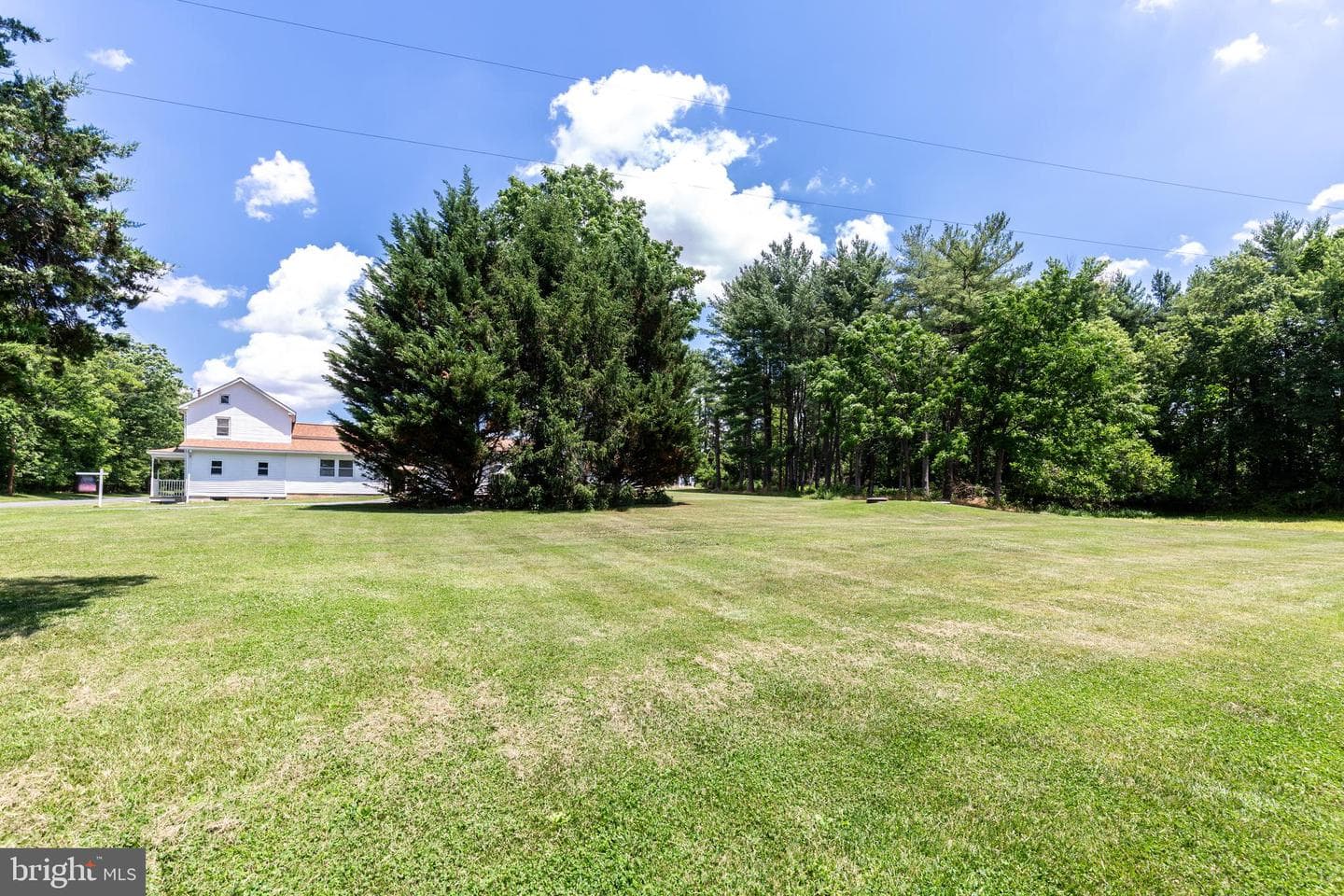 3831 Walnut Grove Road photo 5