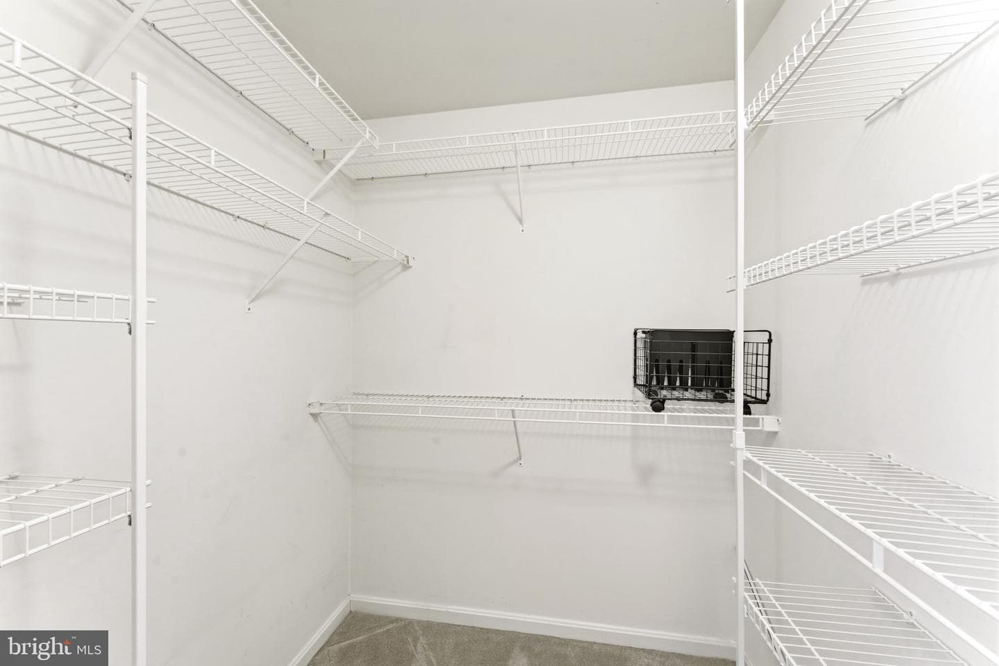 2031 Rudy Serra Drive #2d photo 26