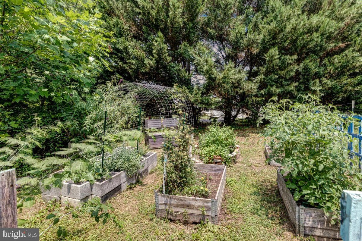 4500 Old Washington Road photo 26