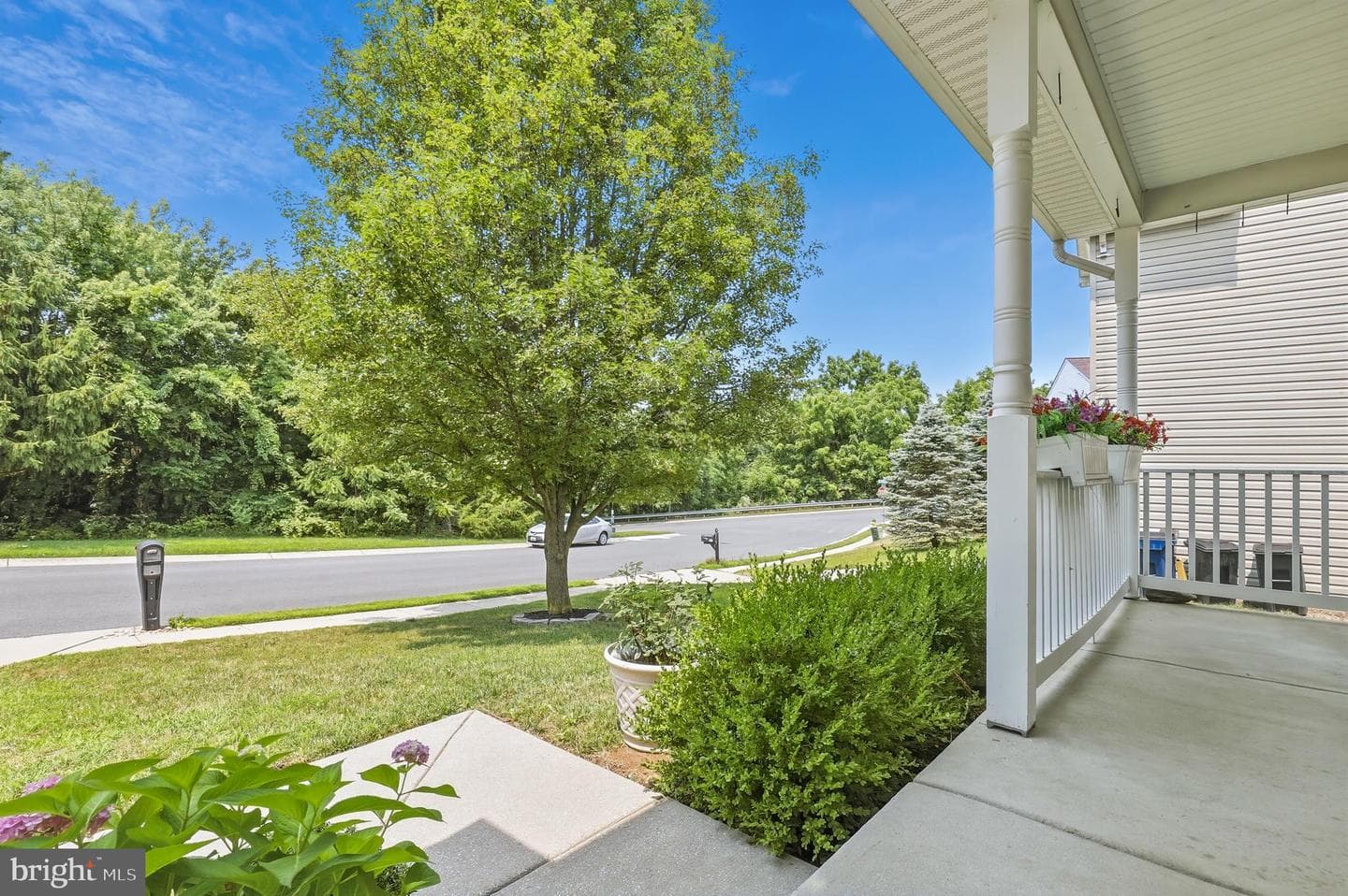 357 Buckingham Way photo 4