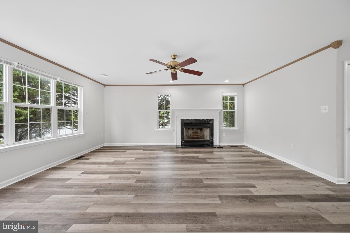 207 Bentley Street photo 27