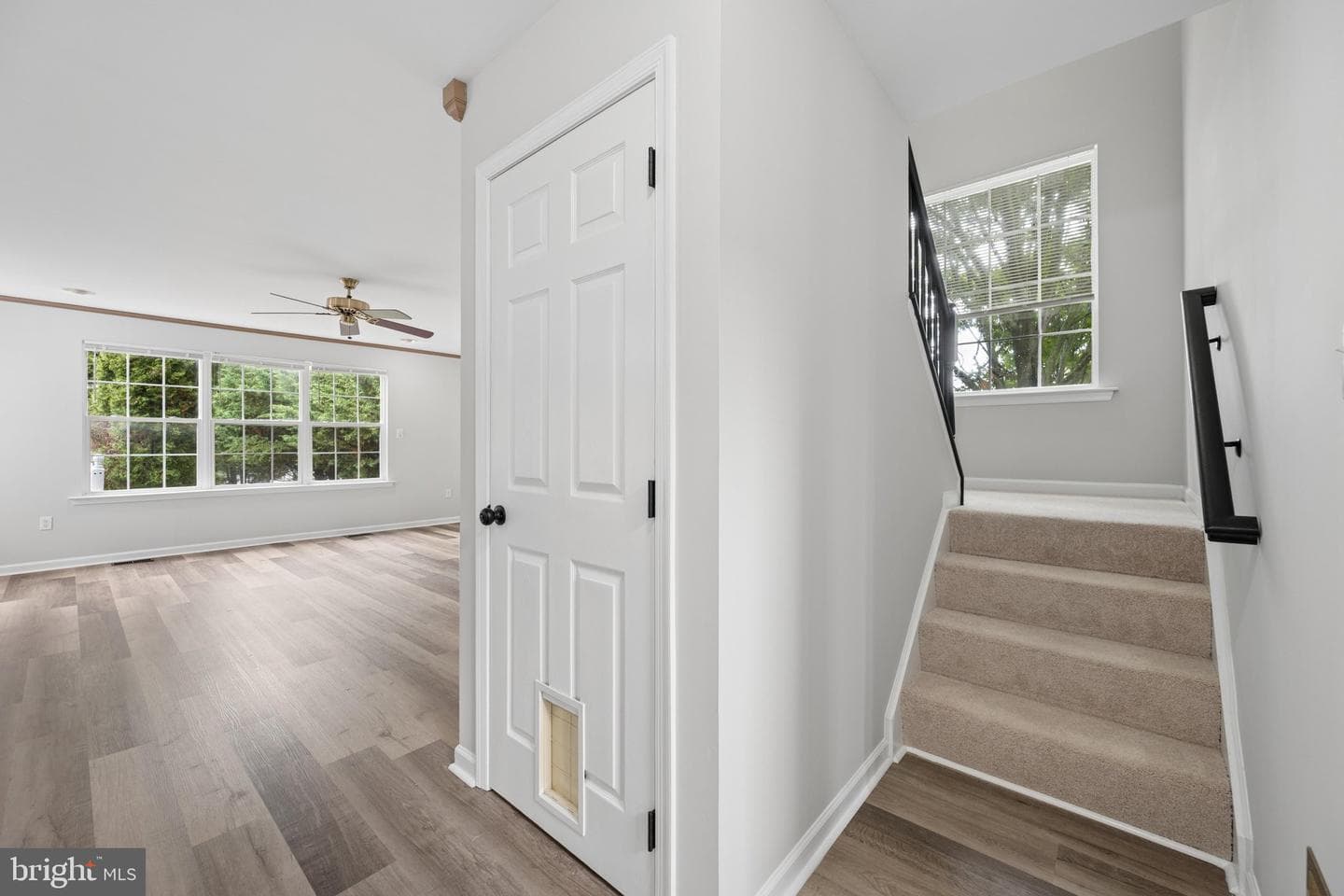 207 Bentley Street photo 32