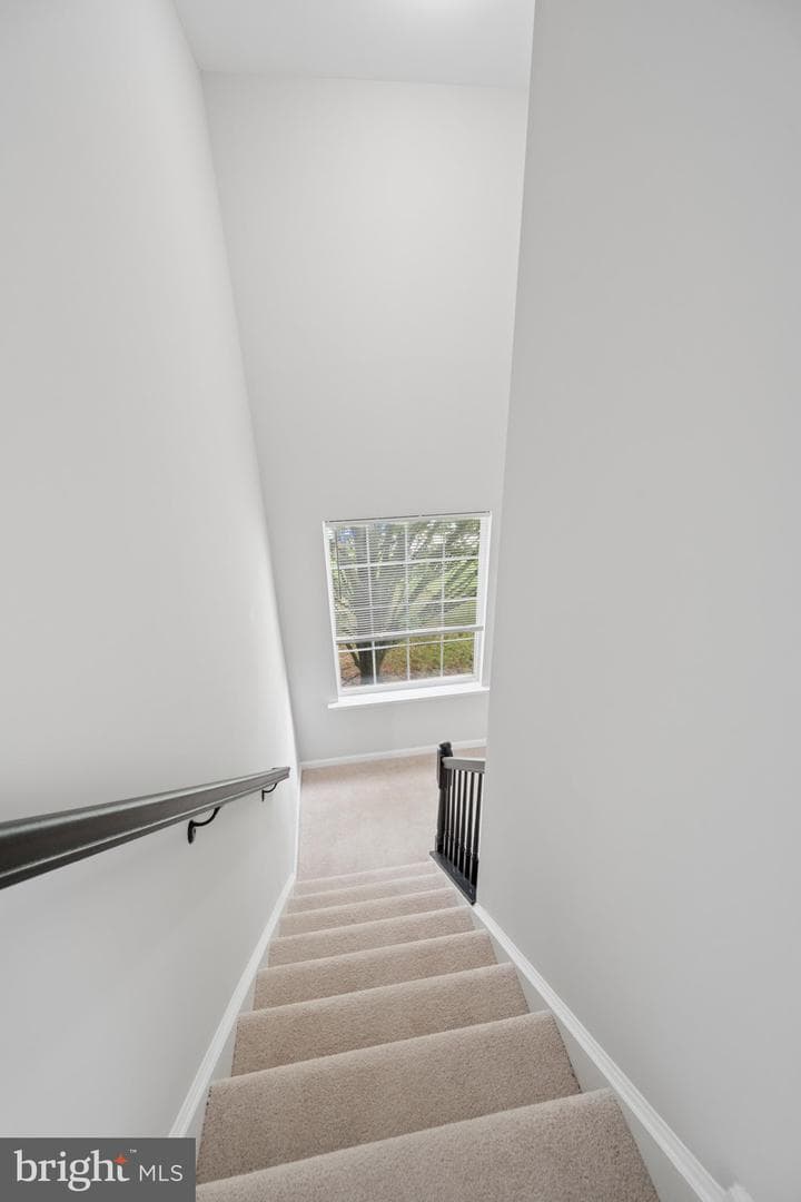 207 Bentley Street photo 33