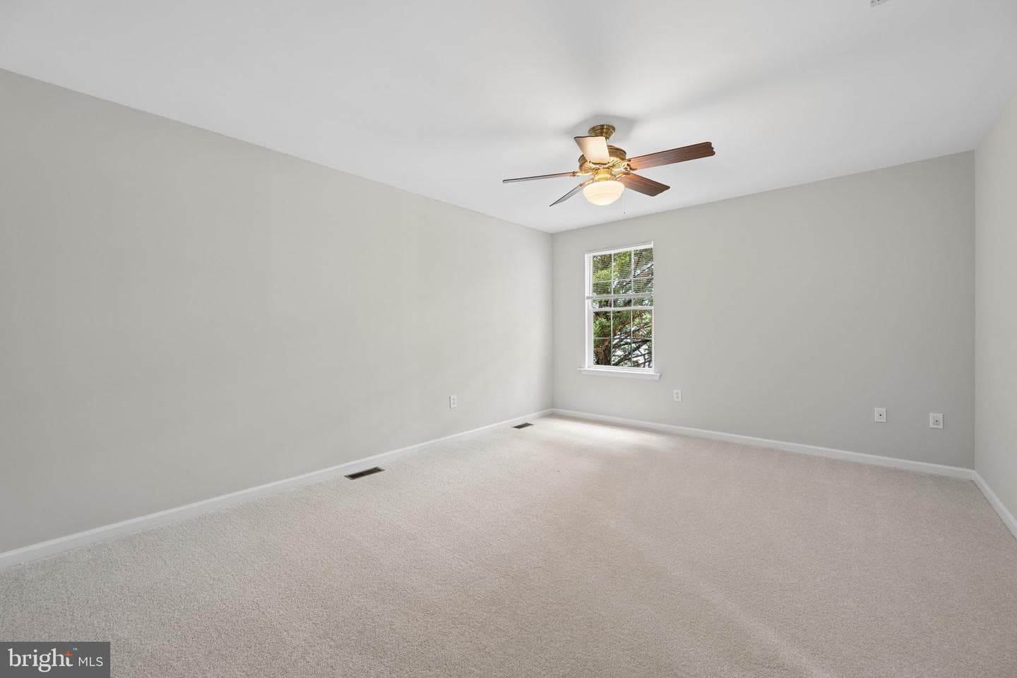 207 Bentley Street photo 53