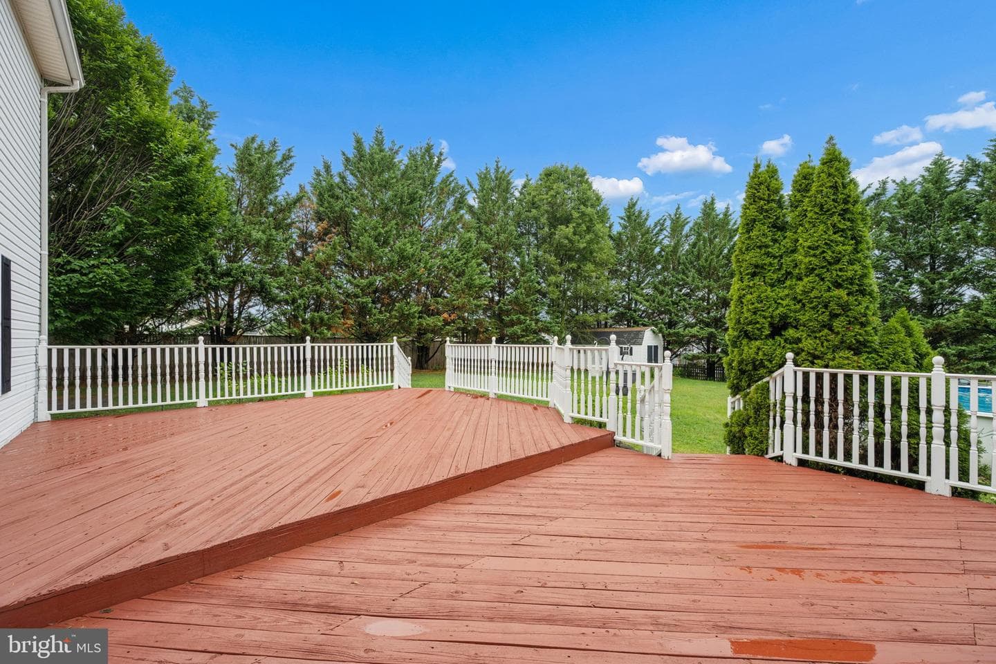 207 Bentley Street photo 66
