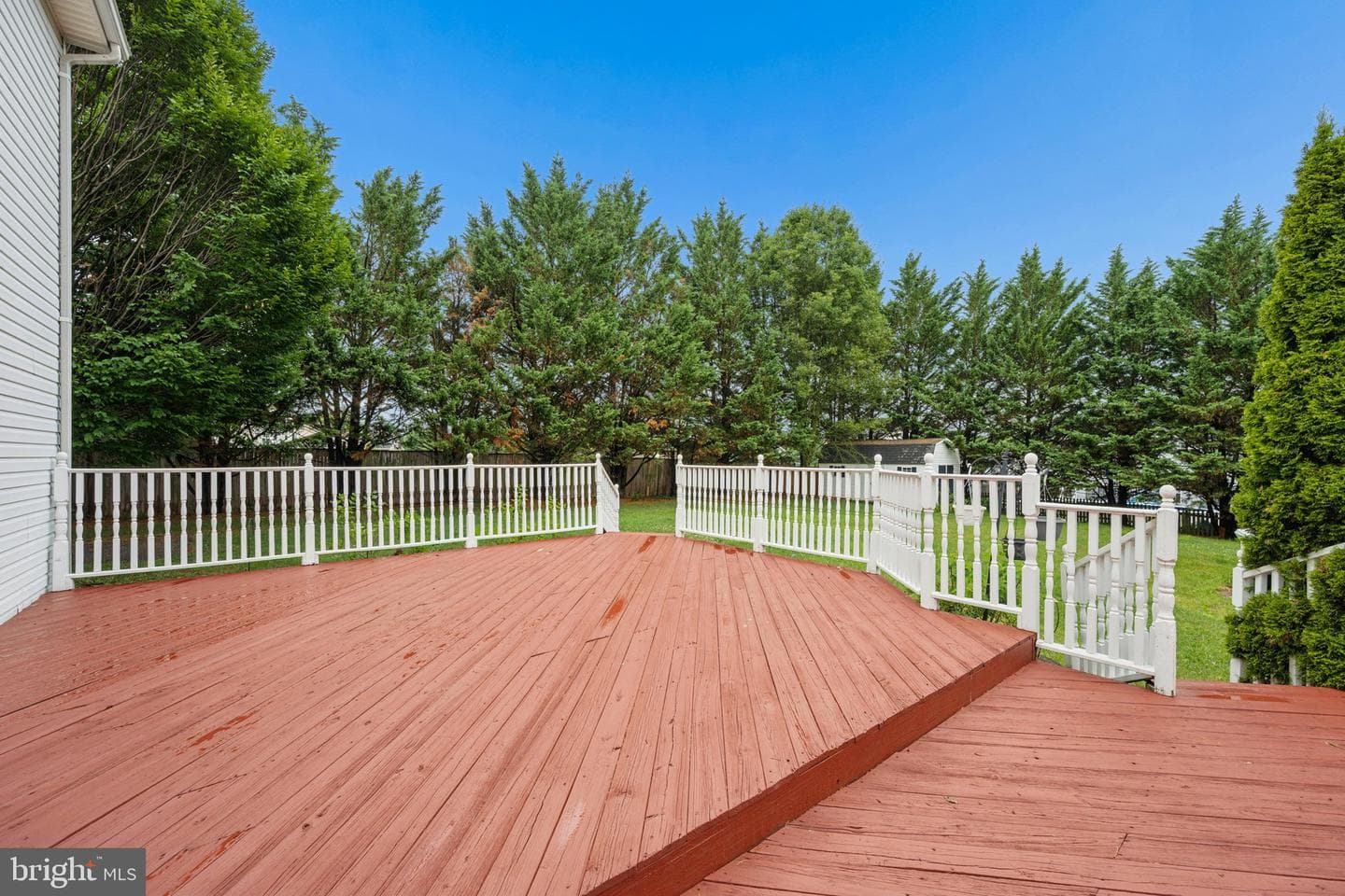 207 Bentley Street photo 68