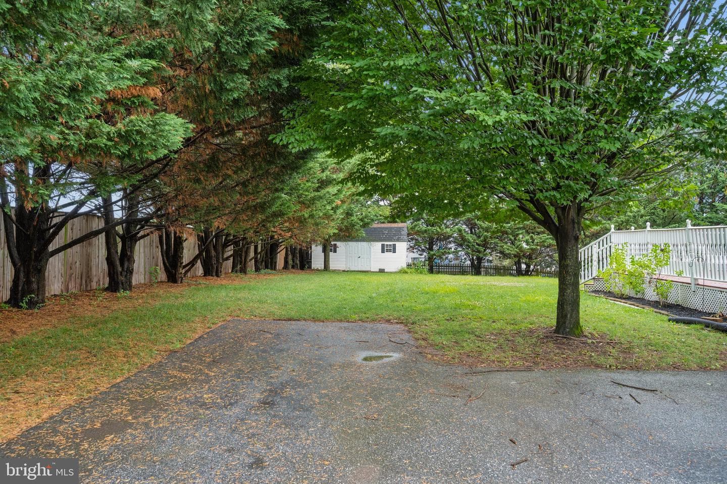 207 Bentley Street photo 77