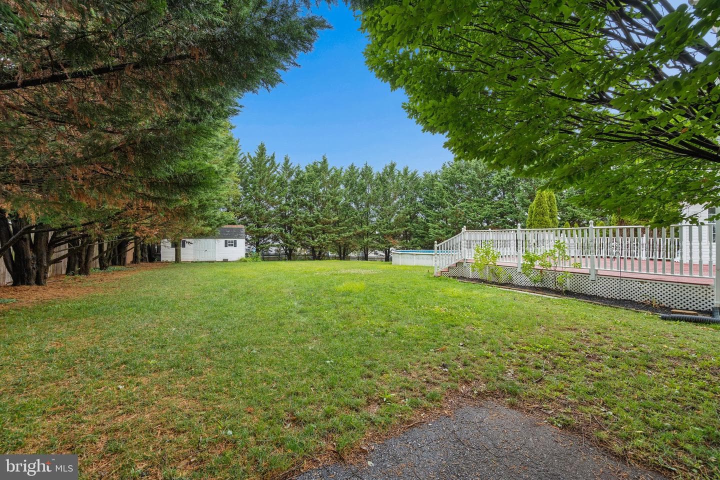 207 Bentley Street photo 78